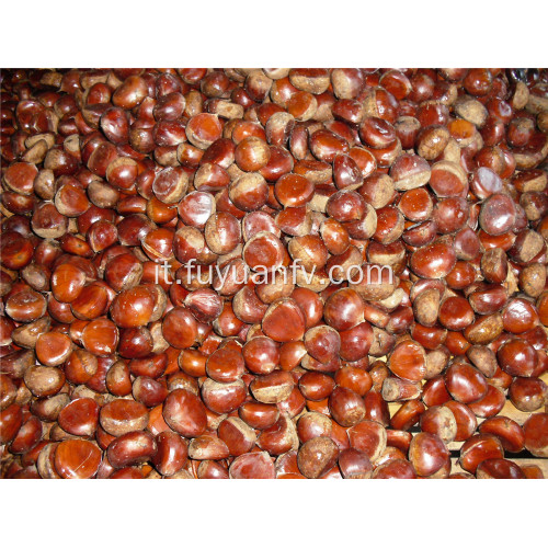 castagne fresche 30-40 pezzi / kg